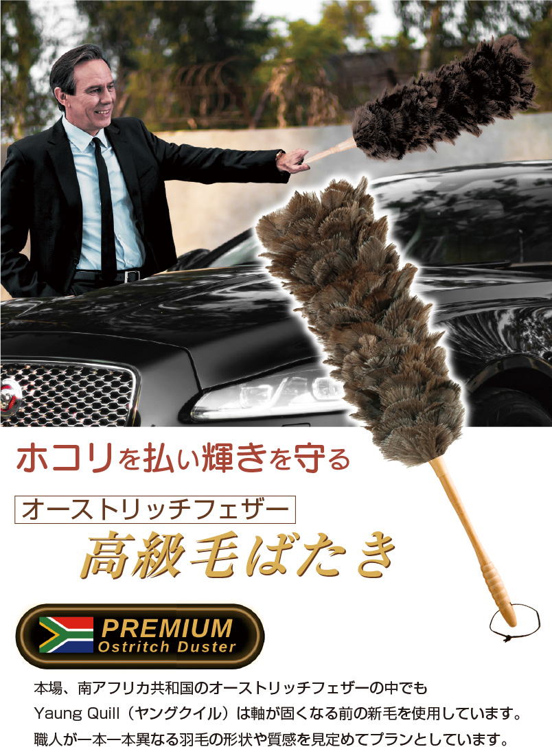オーストリッチ　フェザーダスター　毛ばたき オーストリッチ フェザーダスター ロング 75cm （レザーカバー付き