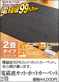 ゼンケン 【クーポンで8000円OFF】 ホットカーペット 電磁波カット 2畳