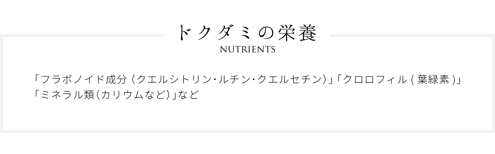 ドクダミの栄養