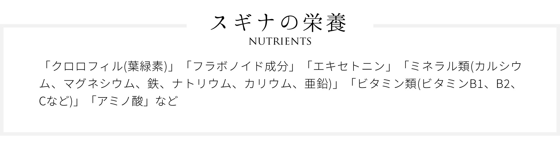 スギナの栄養