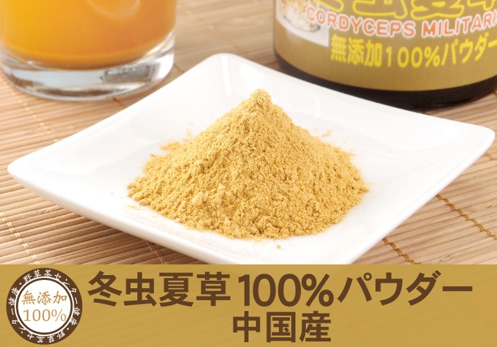 冬虫夏草（中国産）無添加 100% パウダー 30g 粉末 サプリ とうちゅうかそう トウチュウカソウ サプリ 無農薬 コルディセプス かいこ 蚕  カイコ :023-30:健康・野草茶センター - 通販 - Yahoo!ショッピング