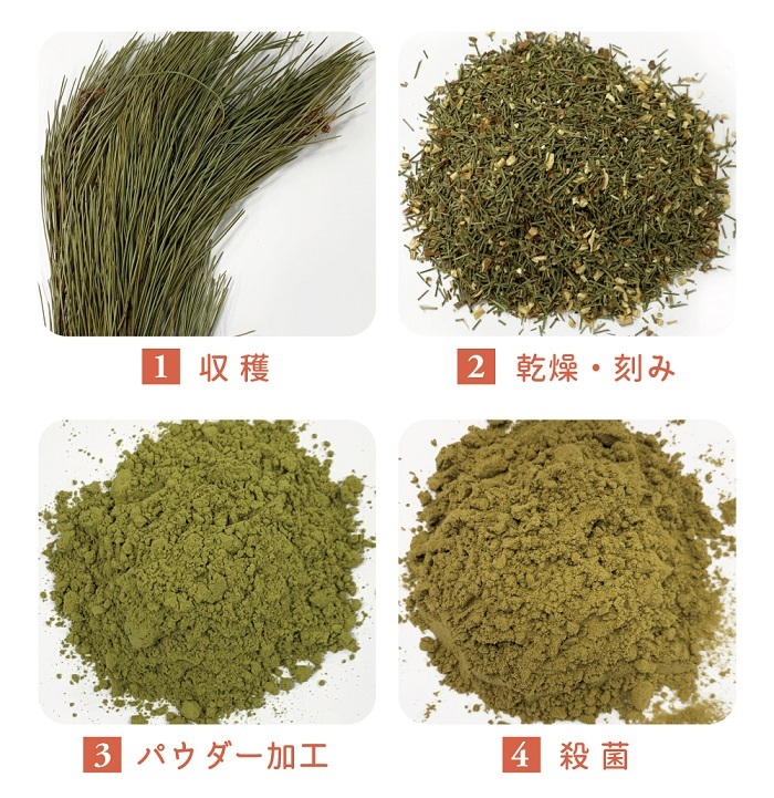 松葉 (徳島県産) 無添加 100% パウダー 240g（120ｇ×2個） 松葉茶 健康茶 松の葉茶 粉末 赤松 まつば 青汁 国産 無農薬  :024-260:健康・野草茶センター - 通販 - Yahoo!ショッピング