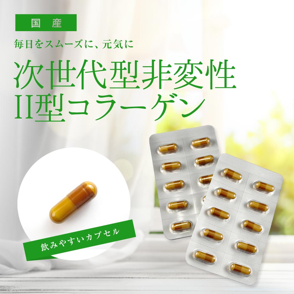 非変性2型コラーゲン 20カプセル×2個 2型コラーゲン : 健康・野草茶