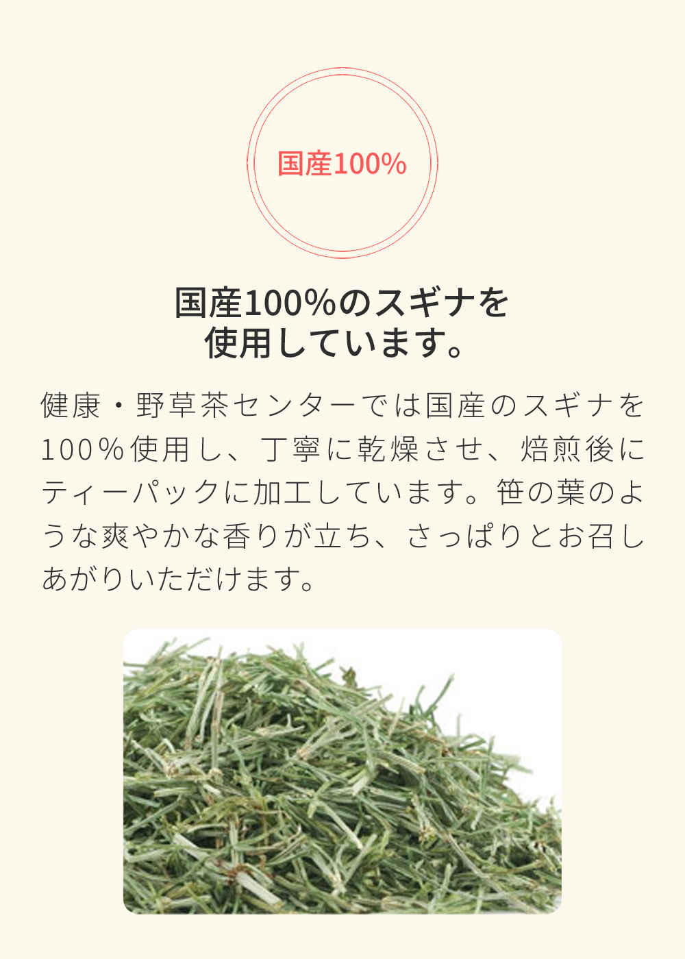 国産100％スギナ茶