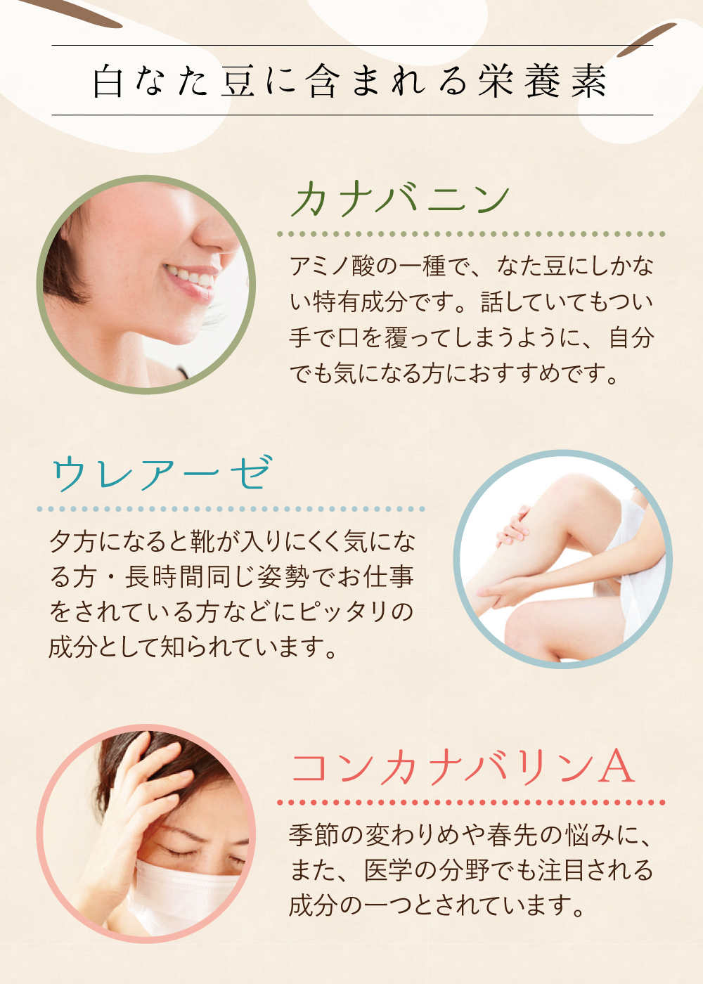 栄養