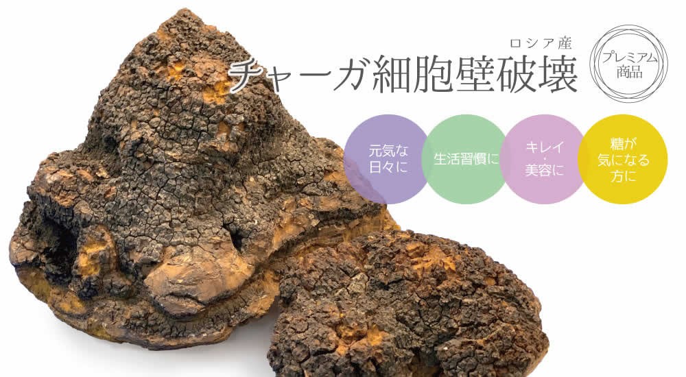 チャーガ細胞壁破壊超微粒 30包 : 健康・野草茶センター - 通販