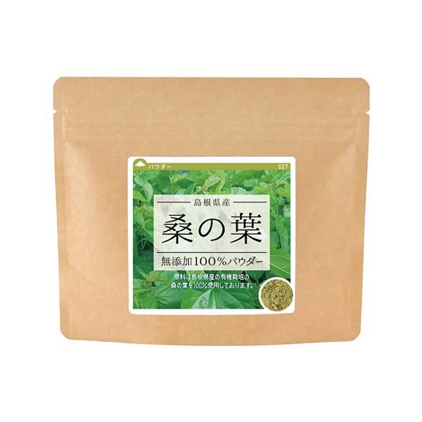 ゴーヤ（大分県産） 無添加 100% パウダー 80g ゴーヤ茶 ゴーヤ粉末 粉末 ニガウリ にがうり 苦瓜 まるごと 丸ごと 種 有機 有機栽培  サプリ :028-80:健康・野草茶センター - 通販 - Yahoo!ショッピング