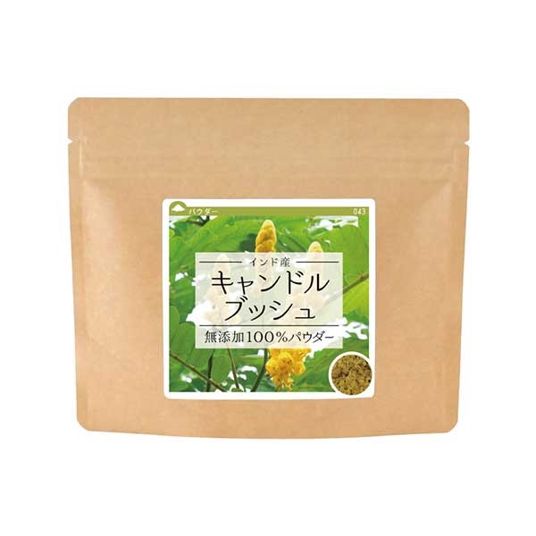 クマ笹（北海道産）無添加 100% パウダー 200ｇ（100g×2個） お茶 粉末 青汁 くま笹茶 熊笹茶 クマザサ茶 熊笹  :063-200:健康・野草茶センター - 通販 - Yahoo!ショッピング