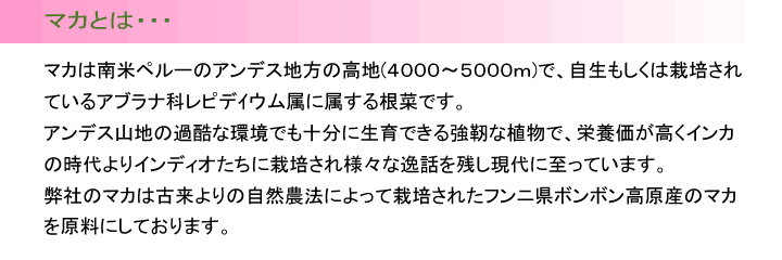 マカ説明文