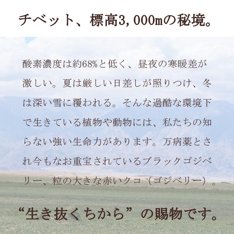 【ポイント15倍】クコの実 ゴジベリー ドライフルーツ スーパーフード ビタミン 大容量｜yasu-market｜10