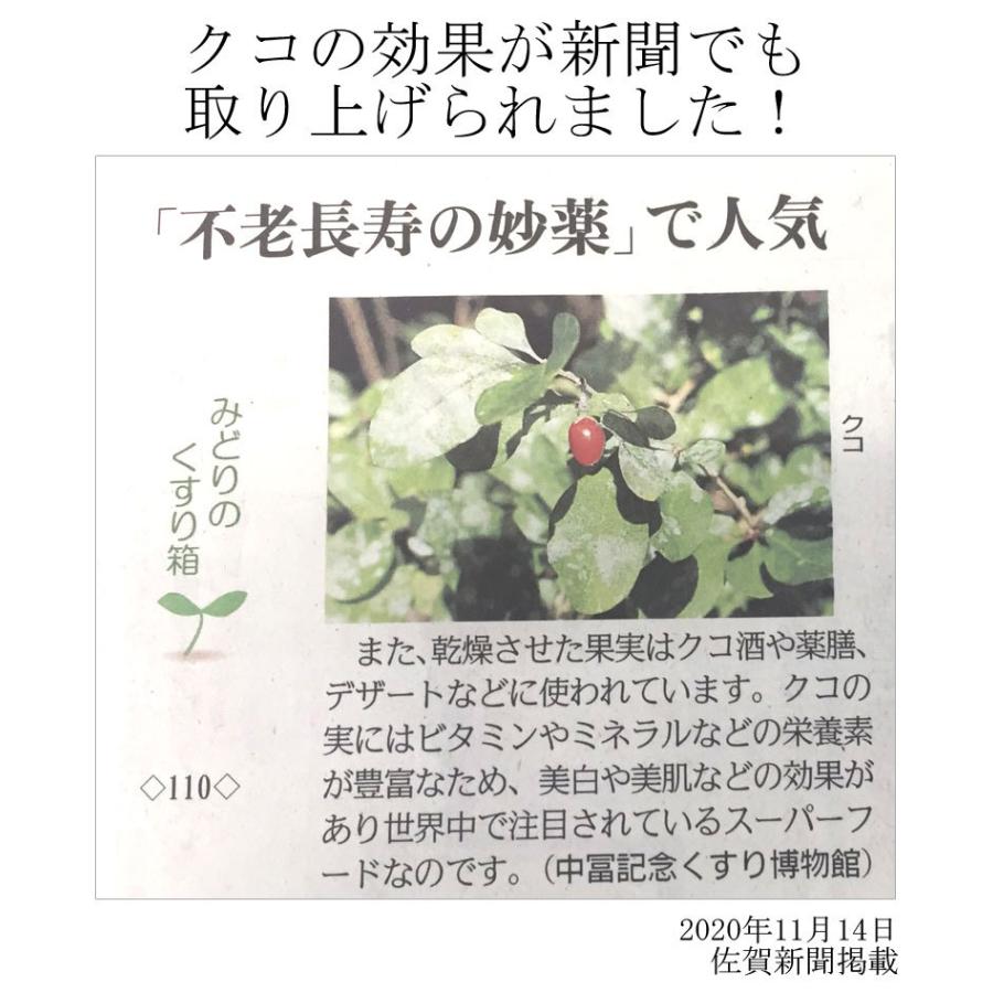 クコの実 ゴジベリー ドライフルーツ セット クコ オーガニック ビタミンC 2袋｜yasu-market｜11