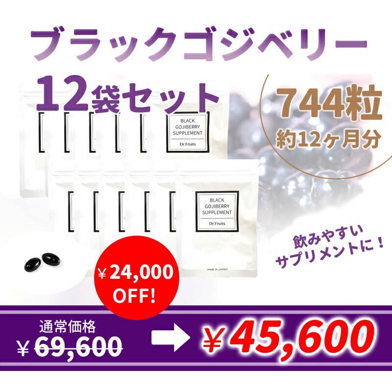 【12袋セット】ブラックゴジベリーサプリメント スーパーフード　アントシアニン　｜yasu-market｜02