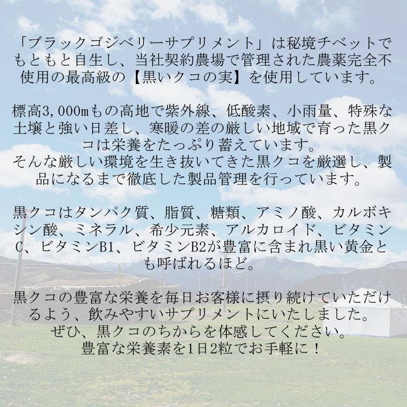 【12袋セット】ブラックゴジベリーサプリメント スーパーフード　アントシアニン　｜yasu-market｜07