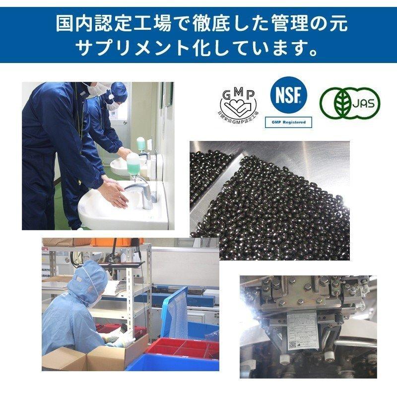 【6袋セット】ブラックゴジベリーサプリメント  ビタミン アイケア｜yasu-market｜09