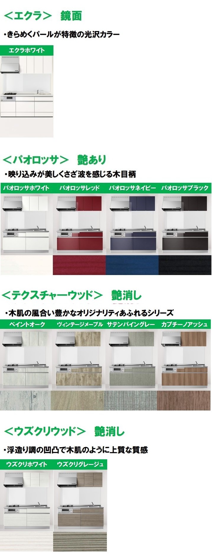 ココッシュカラー2