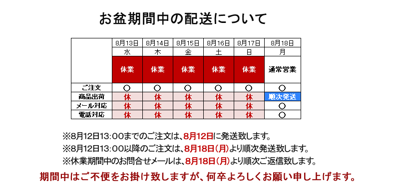 【やっち】ページ　　リクエスト商品のため COSWHEEL RICH BIT 用 ワイドステップ 立ち乗り専用 | sheepsorder