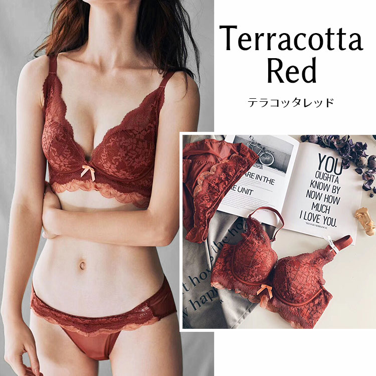 フレキシア　ナノカレント専用ショーツ 補正下着 加圧ベルトセット Premina（プレミーナ） ブラジャー ショーツセット ノンワイヤー 脇高