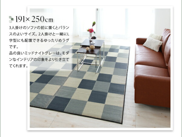 日本特売 自然素材ラグ 厚みが選べる3タイプ 純国産ブロック柄い草ラグ