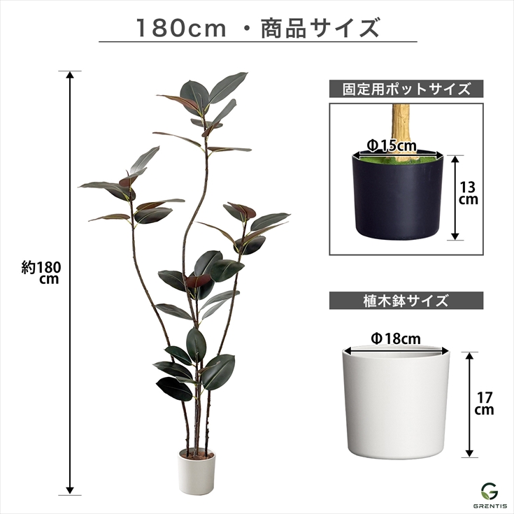 フェイクグリーン AG-BGD180 フィカス・バーガンディ 高さ180cm