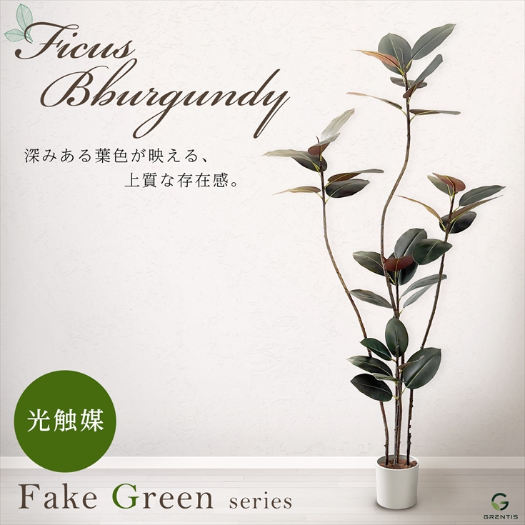 光触媒　人工観葉植物　ウォールグリーン　フィカスグリーン　フィカスフロリス フェイクグリーン AG-BGD180 フィカス・バーガンディ 高さ180cm