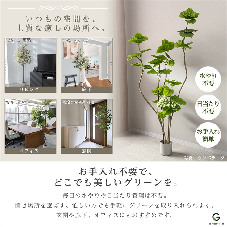 フェイクグリーン AG-PAC180 パキラ 高さ180cm GRENTIS(グレンティス