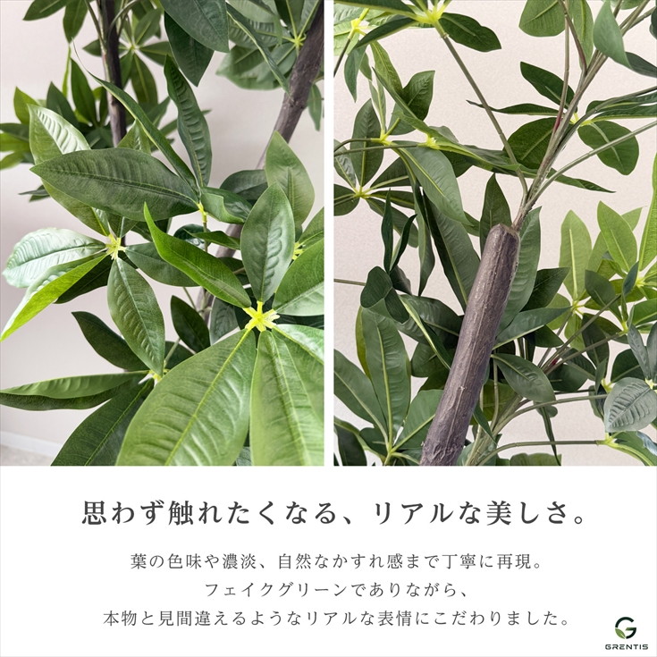 フェイクグリーン AG-PAC180 パキラ 高さ180cm GRENTIS(グレンティス