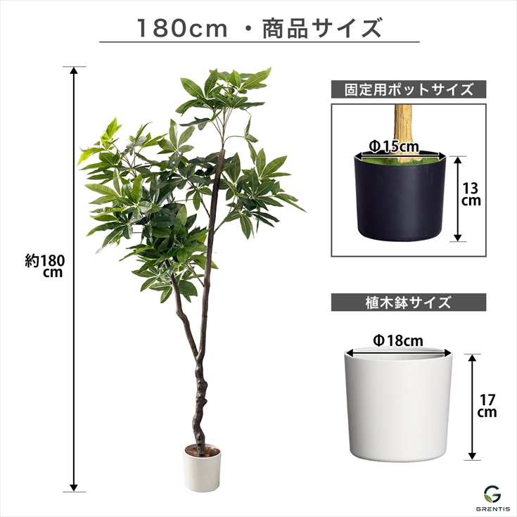 フェイクグリーン AG-PAC180 パキラ 高さ180cm GRENTIS(グレンティス