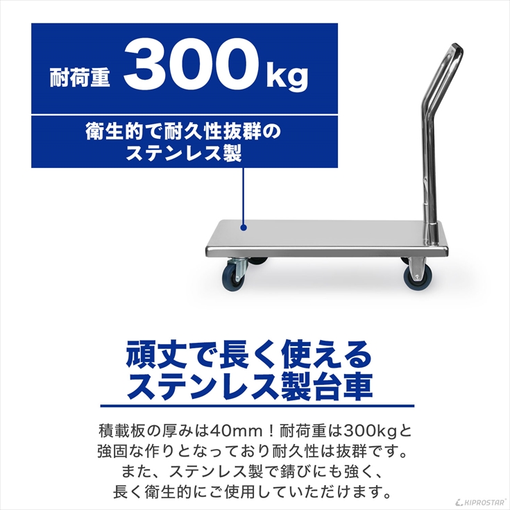 台車 手押し台車 耐荷重 300kg 積載部 55cm×90cm ステンレス 固定