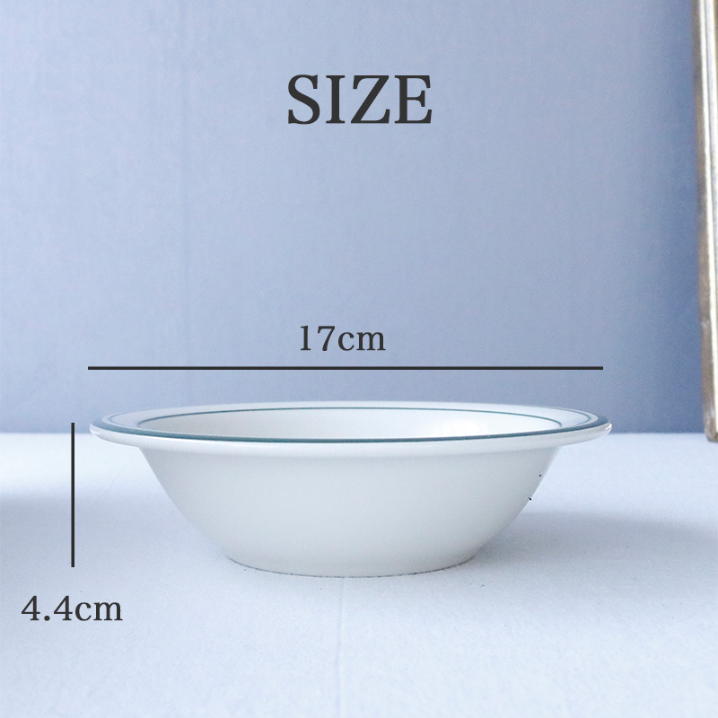 サラダボウル おしゃれ 食器 丸皿 17cm シャロ―ボウル ボウル