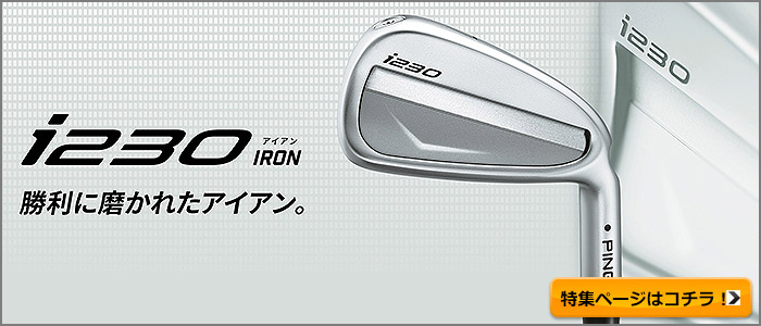 アイアン ピン PING i230 6本セット (5l〜9l、PW) N.S.PRO MODUS3 TOUR