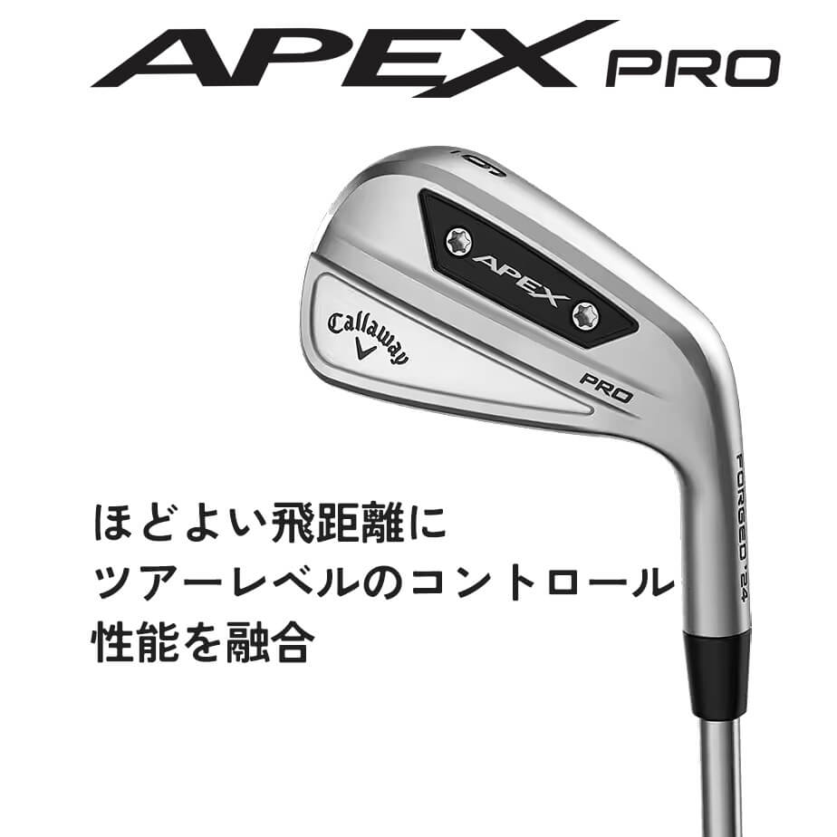 キャロウェイＡＰＥＸ ＰＲＯ（２０１９） ６Ｓ（実本数：６本セット）-