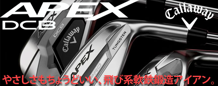 Callaway（キャロウェイ） APEX [エイペックス] 2021 DCB アイアン 6本