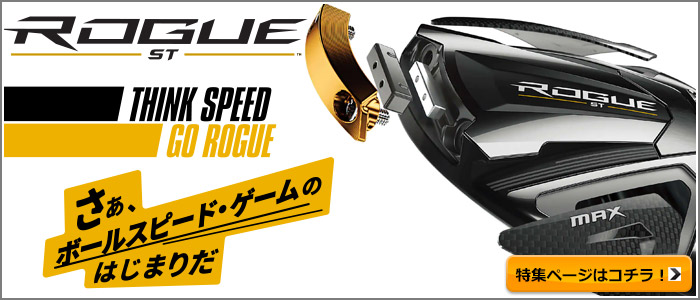 Callaway（キャロウェイ） ROGUE ST MAX FAST アイアン5本セット(#6-9