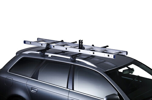 【単品販売不可】THULE プロフェッショナルキャリア ラダーキャリア (TH548)の画像