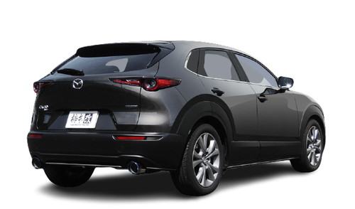yN[|100~OFFz`{ JLg[VO Class KR }c_ CX-30 DM8Pp `^tFCXe[(Z71340C)