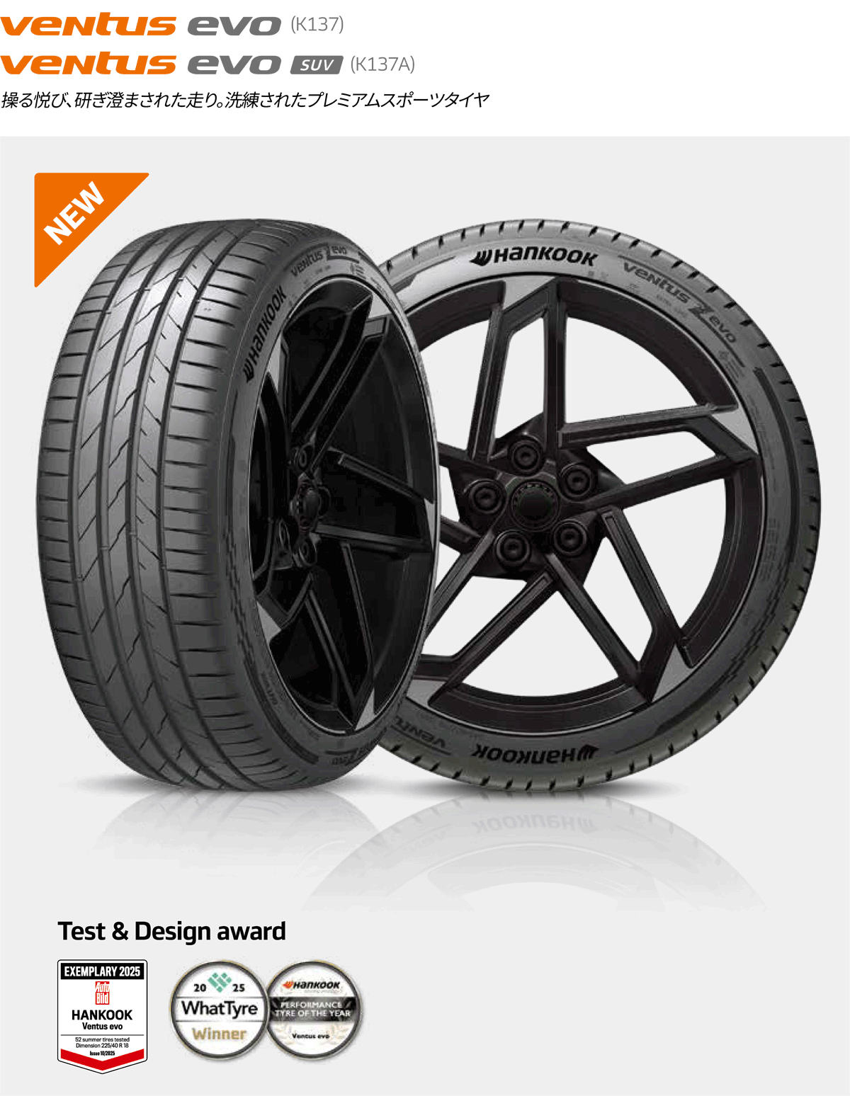 ventus 255/35ZR19 (96Y) XL HANKOOK VENTUS evo K137 ハンコック