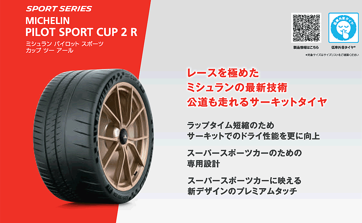 PILOT 345/25ZR21 (104Y) XL TPC MICHELIN SPORT CUP2 R ZP ミシュラン