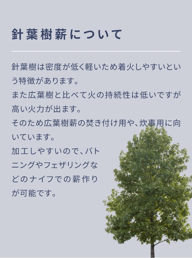 No63 ソロキャンプ用 広葉樹の薪焚付セット バイク・車のトランクにコンパクトに収納 宅配60サイズ【産地】長野県 八ヶ岳通販 :063:八ケ岳通販  - 通販 - Yahoo!ショッピング