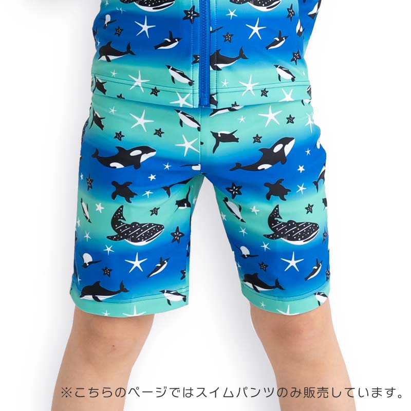 ZAZZY ZAPS 水着子供 スイムパンツ 男の子 水着 UV 紫外線カット