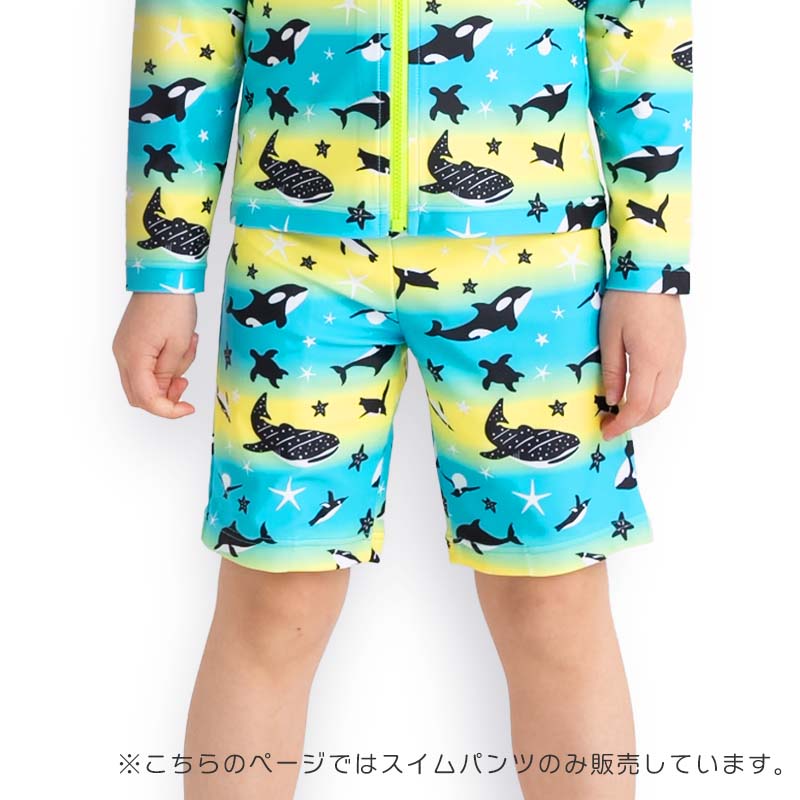 ZAZZY ZAPS スイムパンツ キッズ 水着 子供 子ども 男児 男の子