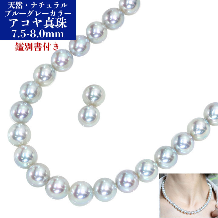 鑑定書付 アコヤ真珠 ブルーグレー ネックレス イヤリング シルバー刻印 8mm 真珠 パール ネックレス あこや真珠 8mm-8.5mm ブルーグレー