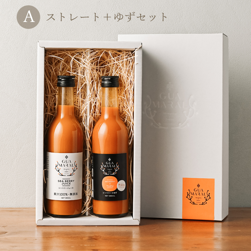 サジージュース ギフト2本セット サジー 360ml 2本セット