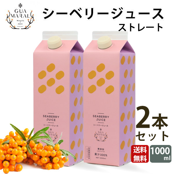 サジー シーベリージュース 100% 1000ml （2本）モンゴル産 サジー