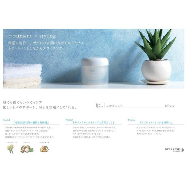 千代田化学 デラクシオ イプル 300g リフィル 詰め替え用 洗い流さない
