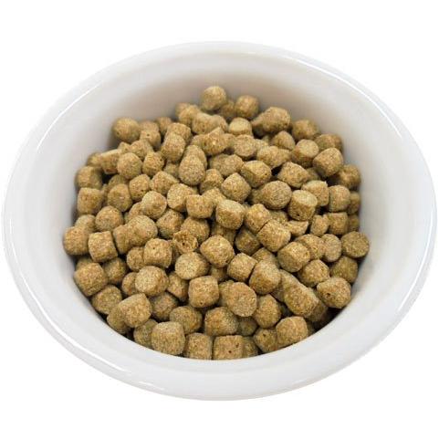 Fay edgehog Food (フェイ ハリネズミフード) 500g ハリネズミ用
