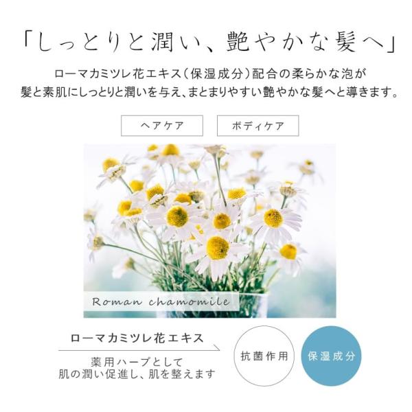 アロマドール ボディソープ パウチ 12ml 10個セット フィード