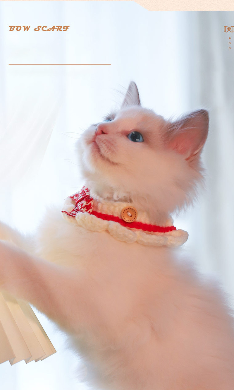 フランシュリッペ ねこマフラー　yukiemon フランシュリッペ ねこマフラー yukiemon