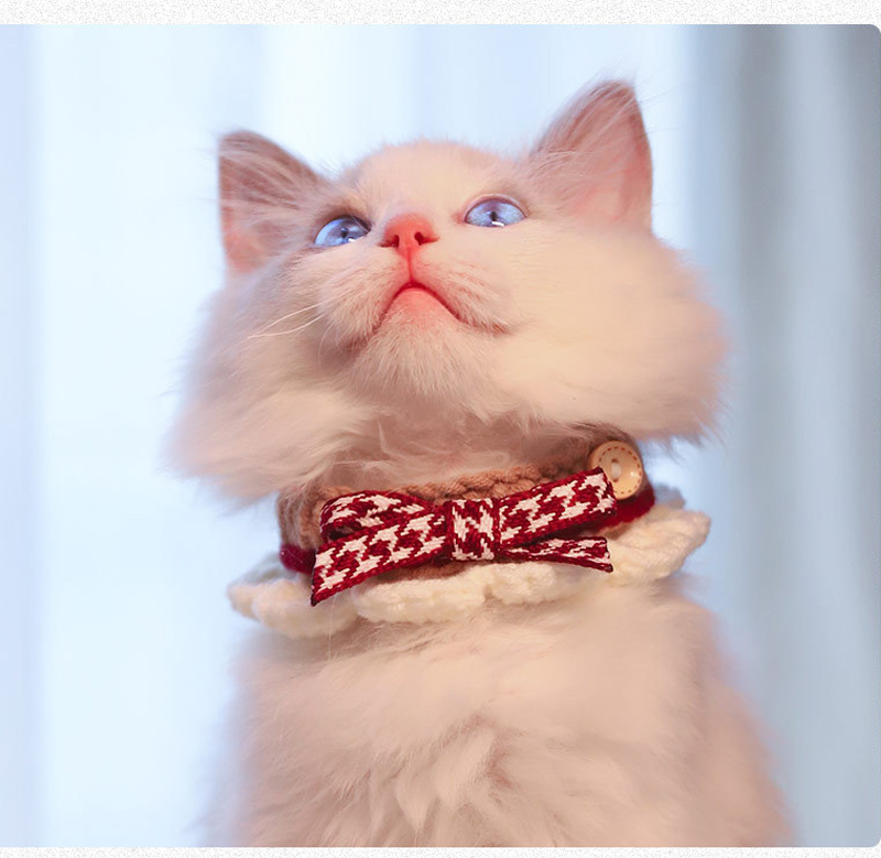 フランシュリッペ ねこマフラー　yukiemon リボンマフラー 猫用 ペット用 ネコ アクセサリー かわいい