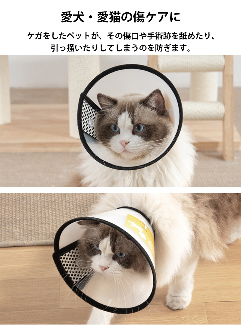 最大95%OFFクーポン 小型犬用 エリザベスカラー 2セット 犬 猫 猫用 犬