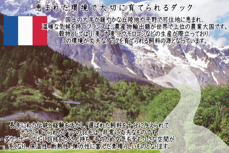 羽毛布団 ダブル 掛け布団 日本製 フランス産ホワイトダウン90％（1.7